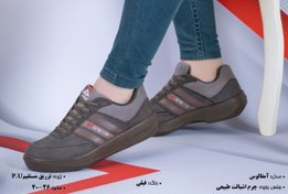 تصویر کفش کار مدل آنفالوس آدیس رنگ فیلی 