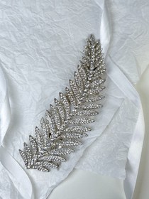 تصویر ریسه مو برگ 