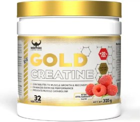 تصویر گلد کراتین وایکینگ فورس VIKING FORCE Gold Creatine Powder 320 gm, 32 servings