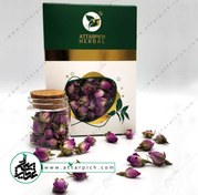 تصویر غنچه گل سرخ 