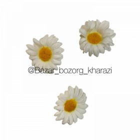 تصویر سر گل بابونه 3 تایی 