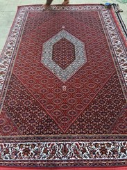 تصویر گبه لوکس 