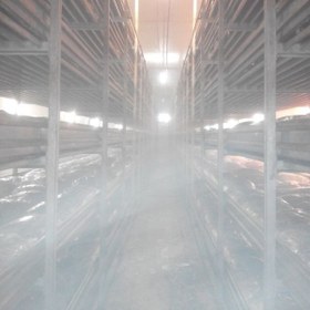 تصویر مه پاش قارچ 