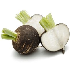 تصویر ترب سیاه Black Radish