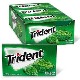 تصویر آدامس تریدنت طعم نعنا بسته ۱۲ عددی وزن ۳۶۰ گرم 