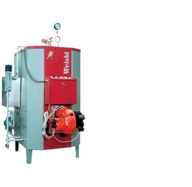 تصویر دیگ بخار ویشی 