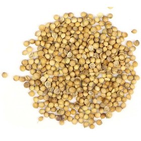 تصویر تخم گشنیز 150 گرم 