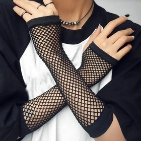 تصویر فیشنت 