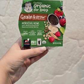 تصویر غلات صبحانه گربر Morning bowl