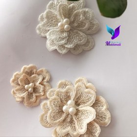 تصویر گل گیپور - 8سانت / نباتی 