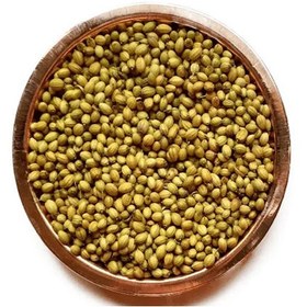 تصویر تخم گشنیز 500 گرم 