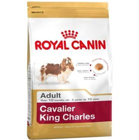 تصویر غذای خشک بزرگسالان کلاوریر کینگ چارلز ۱.۵ کیلوگرم برند royal canin 