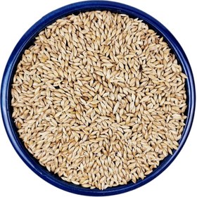 تصویر بذر کتان پرنده 