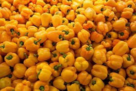 تصویر فلفل پاپریکا زرد خشک - پاکت پلاستیکی / 200g / اسیاب شده درجه یک Yellow paprika pepper dride