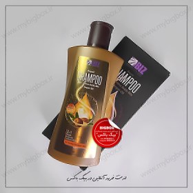 تصویر شامپو ترمیم کننده آرگان بیز وزن 300 گرم BIZ Argan Oil Shampoo