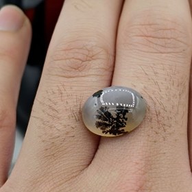 تصویر نگین شجر طبیعی کد ۱۲۰۸۲ 