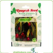 تصویر بذر گل کاکتوس دراگون فروت 