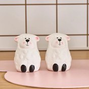 تصویر ست ۲ عددی نمکدان و فلفل پاش سرامیکی کاراجا 