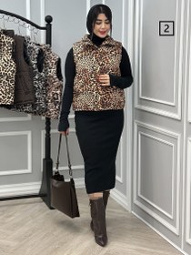 تصویر پافر بارلین کد : 8067 