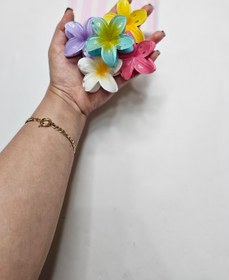 تصویر کلیپس کوچیک پلو مریا - آبی 