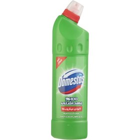 تصویر مایع سفید کننده دامستوس (Domestos) مدل Mountain Breeze حجم 750 میلی‌ لیتر مایع سفیدکننده سطوح دامستوس مدل Mountain Breeze حجم 750 میلی لیتر