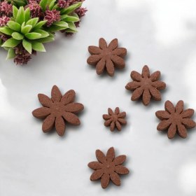 تصویر نبات فانتزی دارچین 