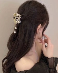 تصویر کلیپس مجلسی پاپیون 