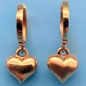 تصویر گوشواره کلیپسی قلب دامله 