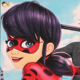 تصویر Afrand machine carpet Ladybug girl and cat boy design, code 162 