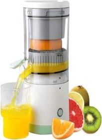 Grapefruit juicer deals