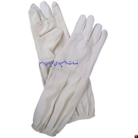 تصویر دستکش زنبور داری 