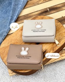 تصویر کیف پول بانی کد 310 