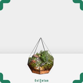 تصویر تراریوم دایموند کد G03 