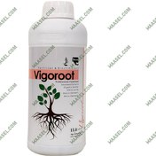 تصویر کود ریشه زا ویگوروت Vigoroot 