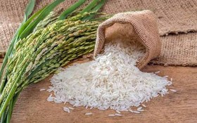 تصویر برنج پاکستانی شاه پخت کیسه 10 کیلویی 