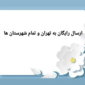 تصویر مانتو بارداری و شیردهی مشکی رنگ اپلیکه دوزی شده با ارسال رایگان 