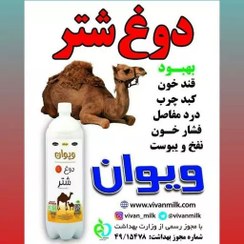 تصویر دوغ شتر 1 لیتری ویوان(باکس 6عددی) 