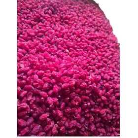 تصویر زرشک عنابی 