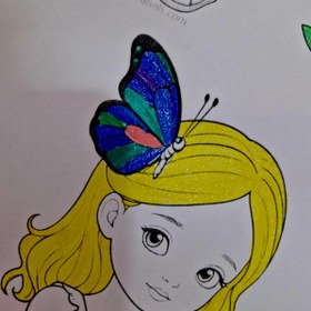 تصویر ماژیک رنگ آمیزی شاین دار ۱۲ عددی اکلیلی 