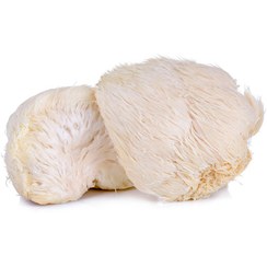 تصویر قارچ یال شیر ۱ کیلوگرم 