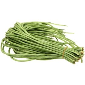 تصویر بذر لوبیا عربی 20 عددی 