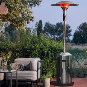 تصویر هیتر تابشی قارچی 