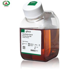 تصویر FBS (Fetal bovine serum ) برند گیبکو 