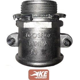 تصویر گلند دوپیچ 29 توس فلکس 