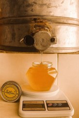 تصویر عسل گون کوهستانی تاتلیم کاملا طبیعی خواص تقویتی 