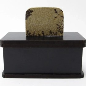 تصویر سنگ شجر فسیلی (دندریتی ) کد 2202 