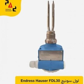 تصویر لول سوئیچ دیاپازونی اندرس هاوزر Endress Hauser FDL30 