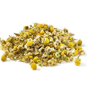 تصویر بابونه آلمانی 