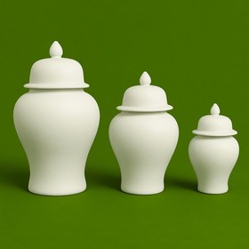 تصویر بیسکویت جینجر جار 