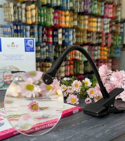 تصویر ذره بین دمسه 